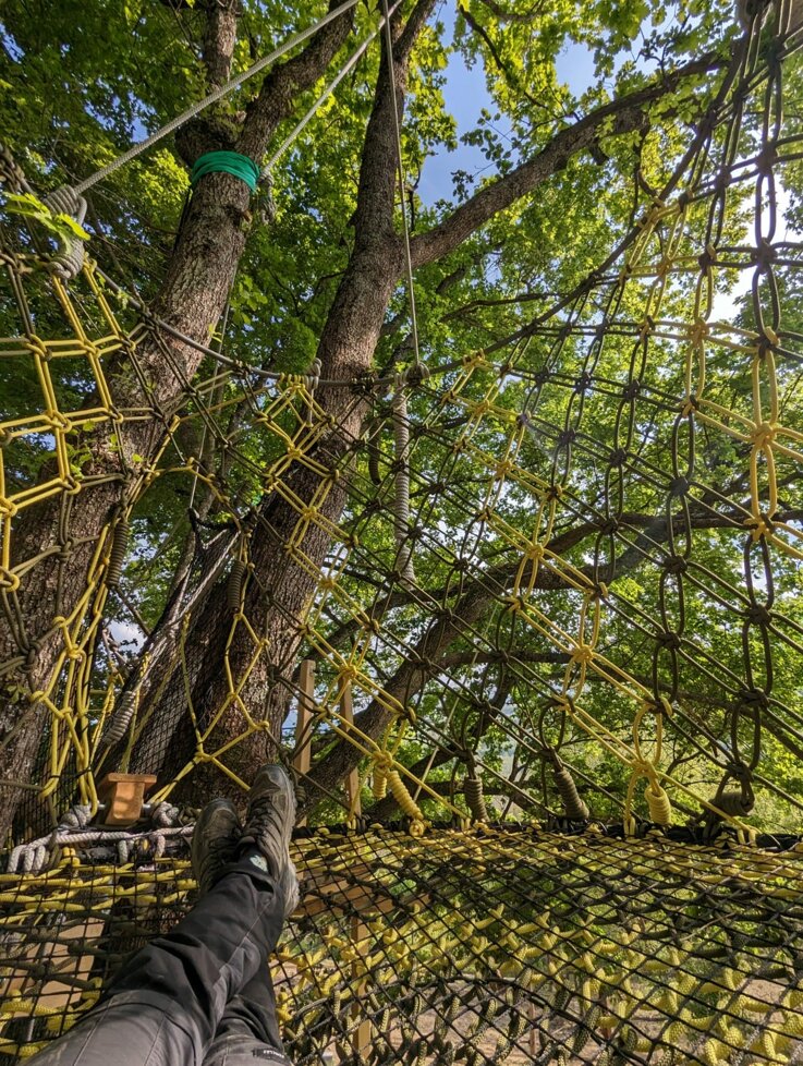 Il Giardino degli Alberi Maestri - nido greenest
