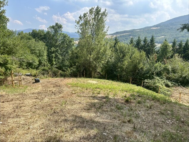 Il Giardino degli Alberi Maestri - cavalli Il Giardino degli Alberi Maestri - cavalli