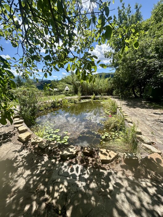 Il Giardino degli Alberi Maestri Il Giardino degli Alberi Maestri
