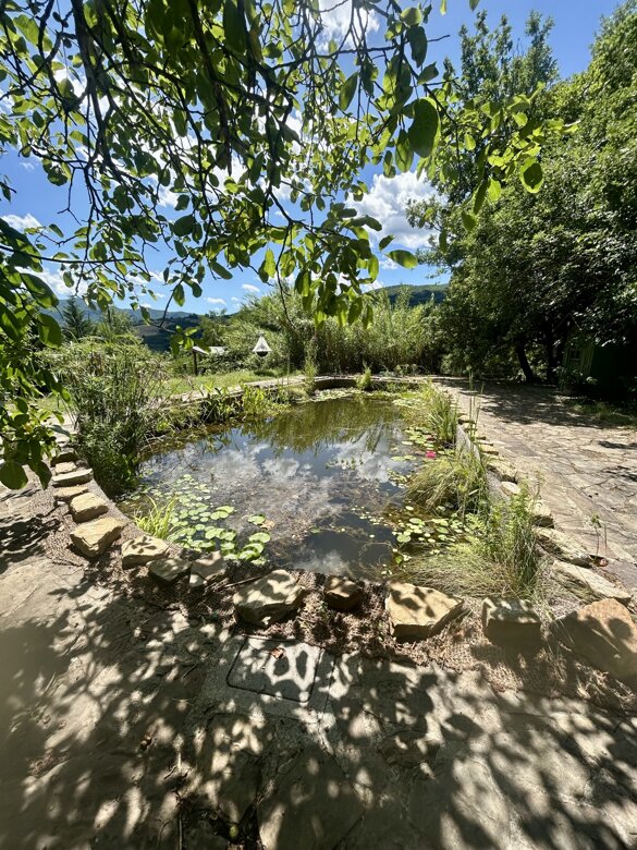 Il Giardino degli Alberi Maestri