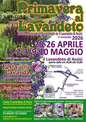 festa della primavera 2026.jpeg