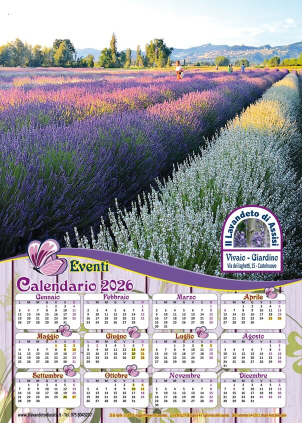 calendario 2026 2.jpeg