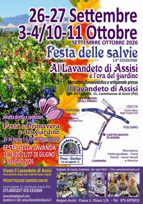 festa delle salvie.jpeg