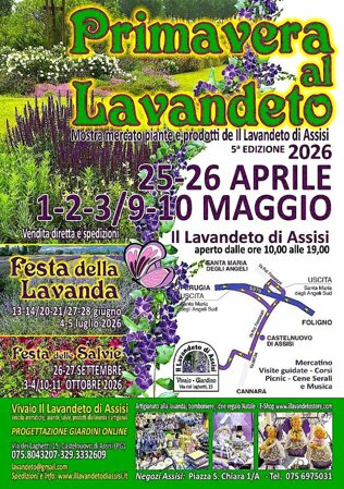 Festa di primavera 2024, eventi in primavera