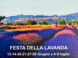 festa della lavanda 2023 festa della lavanda 2023
