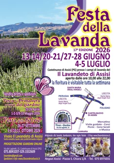Festa della lavanda 2023, dove trovare campi di lavanda, Fioritura lavanda Italia, eventi in estate Umbria, Festa lavanda Provenza