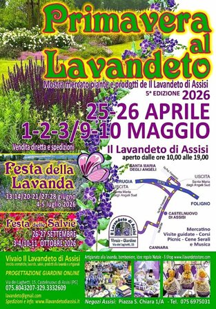 festa della primavera 2026 3.jpeg