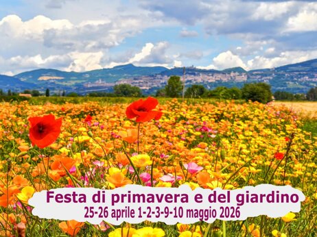 festa di primavera, eventi assisi, eventi perugia, eventi in umbria, fera dei papaveri, eventi aprile 2026, eventi maggio 2026 p.jpeg