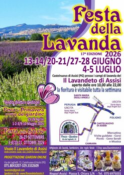  Eventi Assisi, eventi in Umbria Festa della lavanda