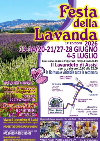 eventi perugia, eventi umbria, eventi assisi, eventi giugno, eventi luglio, eventi perugia giugno, festa della lavanda.jpeg
