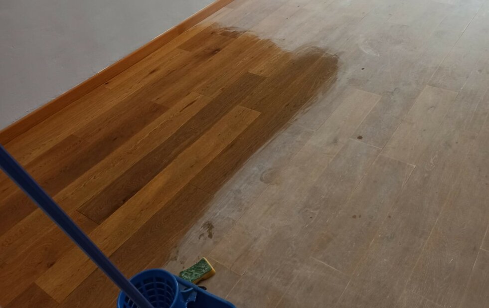 JTdCJTIyaXQlMjIlM0ElMjIlRTIlQUUlOTVQVUxJWklBJTIwUE9TVC0lMjBSSVNUUlVUVFVSQVpJT05FJTIwJTIyJTdE