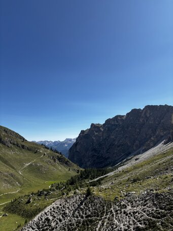 img_3311.jpeg