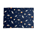 federa-asilo-space