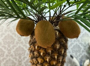 531ee2c21cd58e0b25cab6e18aa3ff22.jpeg 531ee2c21cd58e0b25cab6e18aa3ff22.jpeg