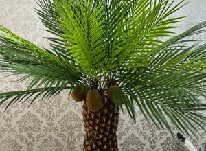 img_2469a54f-68c6-44b9-ac3c-b8d00cdc3276.jpeg img_2469a54f-68c6-44b9-ac3c-b8d00cdc3276.jpeg