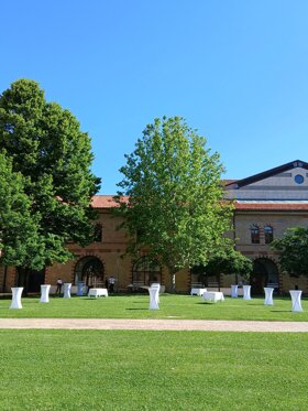 immagine whatsapp 2025-06-06 ore 00.52.30_9c30c557.jpeg