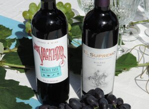 dscn4907.jpeg dscn4907.jpeg