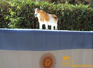 dscn4910.jpeg dscn4910.jpeg