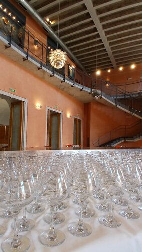 immagine whatsapp 2025-06-30 ore 09.12.26_abe3fed1.jpeg