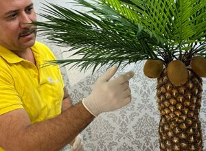 img-20251110-wa0050.jpeg img-20251110-wa0050.jpeg