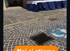 img-20250519-wa0021.jpeg img-20250519-wa0021.jpeg