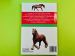 manuale-del-cavallo