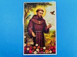 santino-san-francesco-con-animali