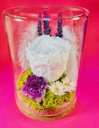 Crystal Garden Crystal Garden