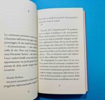 il-cielo-sotto-le-pietre-di-alberto-friso