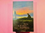 storia-di-un-amore-straordinario-di-carl-johan-vallgren