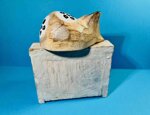 calendario-gatto-beige-13-cm