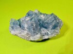 celestina-drusa-282-g