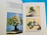 un-manuale-wisley-bonsai-di-alan-roger