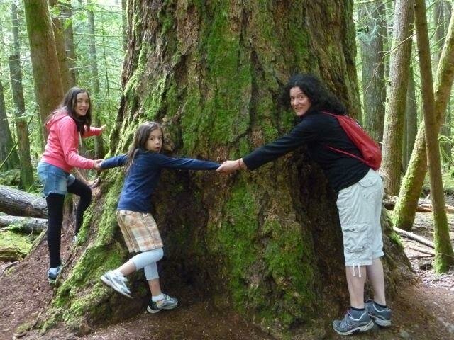 Cedro dell'Ovest: Il Legno Ideale per la Sedia Adirondack