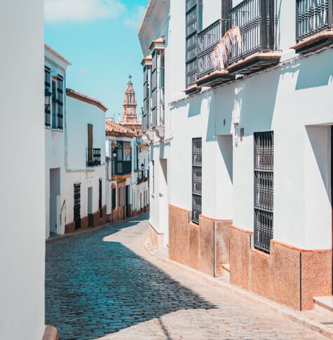 julia-solonina-ci19yinguoc-unsplash.jpeg