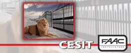 logo cesit 2 logo cesit 2