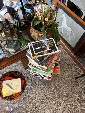 img_1392.jpeg img_1392.jpeg