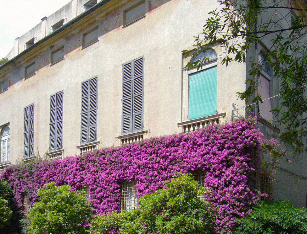 spinola1.jpeg