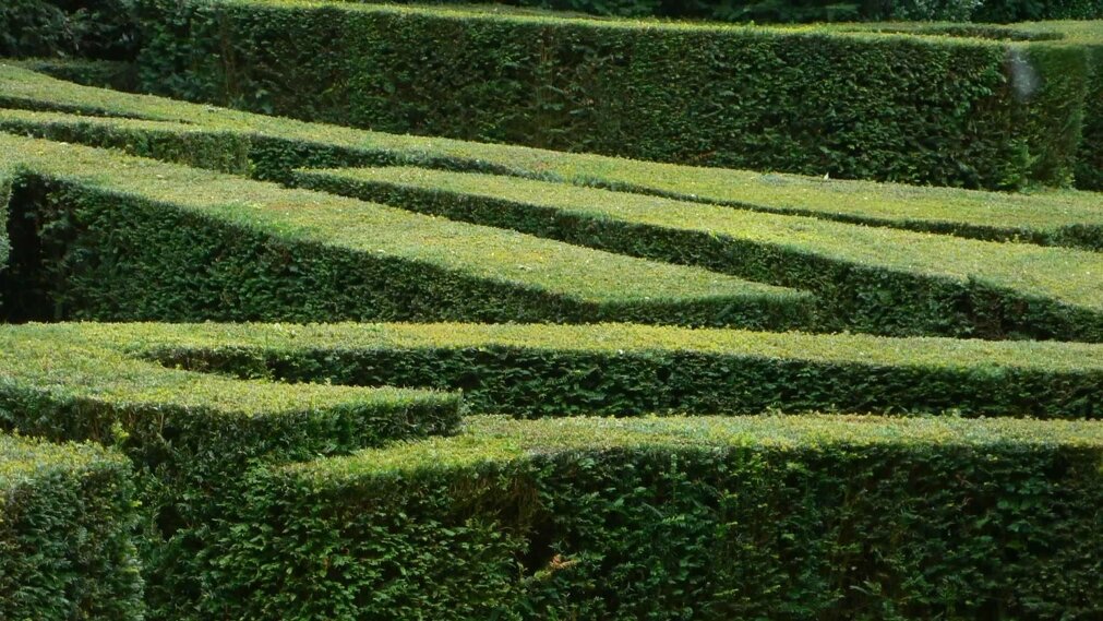 giardino x paesaggio.jpeg