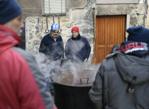 _dc27448.jpeg _dc27448.jpeg