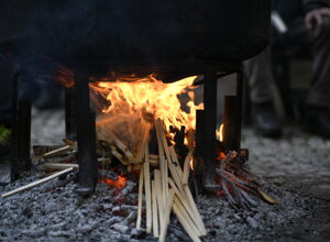 _dc27431.jpeg _dc27431.jpeg