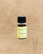 olio-essenziale-timo-vulgaris