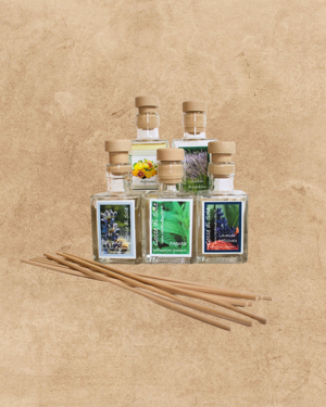 diffusore-ambientale