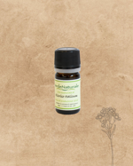 olio-essenziale-elicriso-italicum