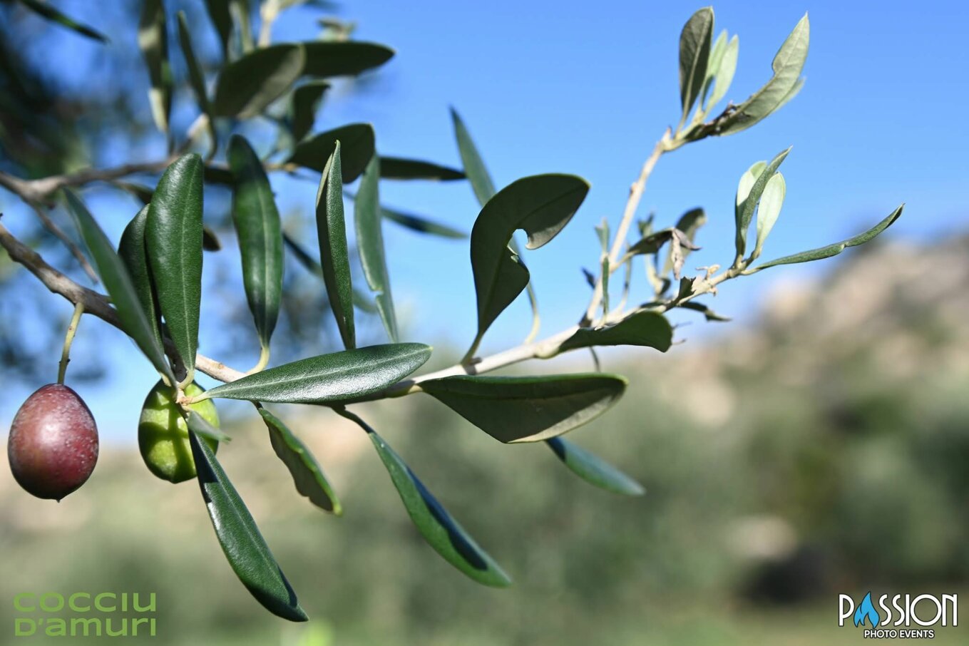 whatsapp image 2025-12-11 at 12.16.05.jpeg