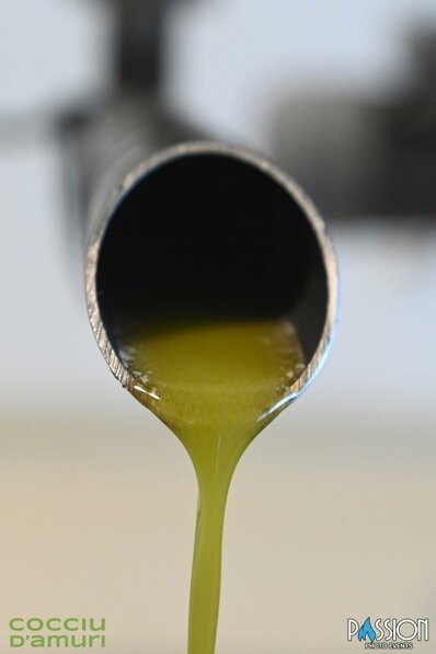 whatsapp image 2025-12-11 at 11.54.25.jpeg