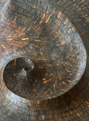 nautilus%201.jpeg nautilus%201.jpeg