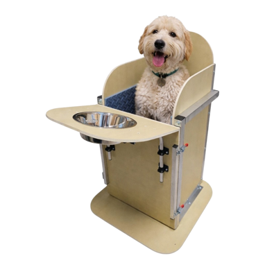 sedia di bailey con cane