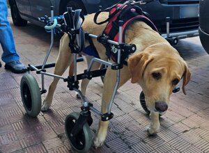 img_20251208_215745.jpeg img_20251208_215745.jpeg