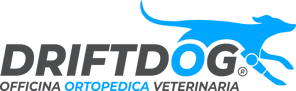 nuovo logo driftdog